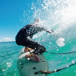 SOFTECH SOFT SURFBOARD Bomber Shortboard - 6'4 -surf Sales 9332475 6